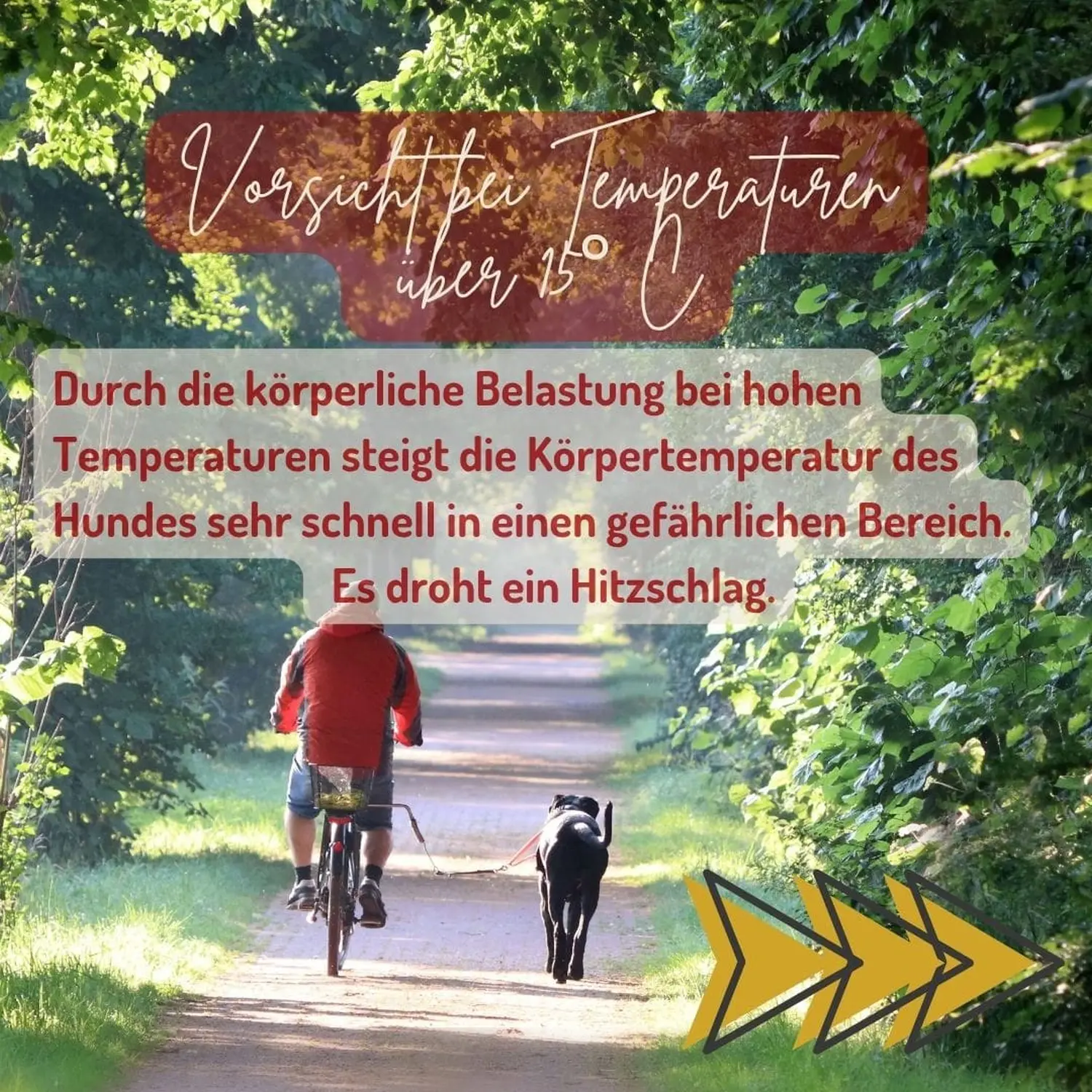 Welpe